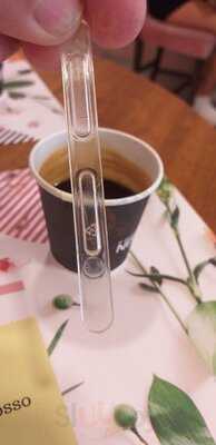 Carlotta Cake Boutique