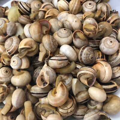 Varanda Vale Formoso