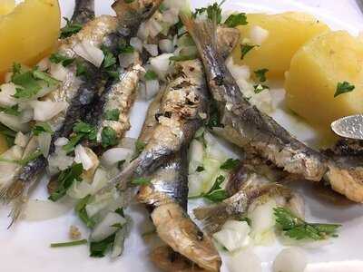 Presuntinho Do Marquês