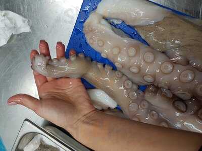 Restaurante São João