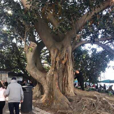 Esplanada Do Principe Real