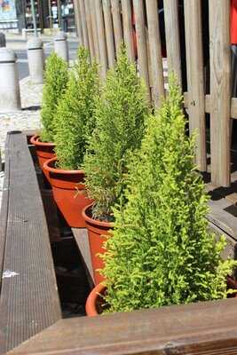 Kumar Kebab E Pizzeria