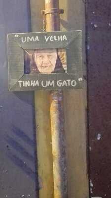 Uma Velha Tinha Um Gato