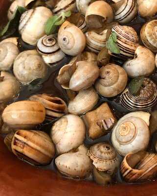 Pigmeu - Campo De Ourique - Lisboa