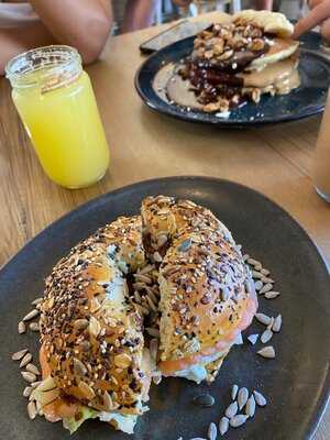 Fauna & Flora- Anjos