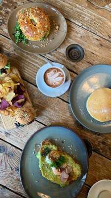 Fauna & Flora- Anjos