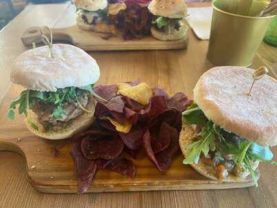 Fauna & Flora- Anjos