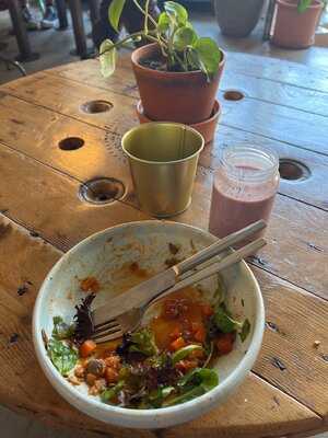 Fauna & Flora- Anjos