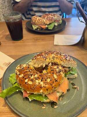 Fauna & Flora- Anjos