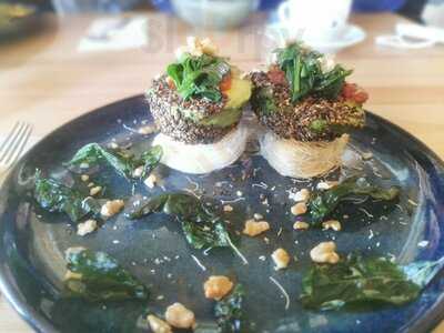 Fauna & Flora- Anjos