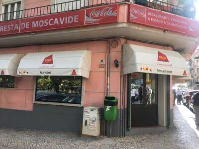 Floresta De Moscavide