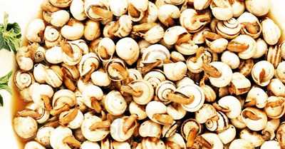 Tiborna - Taberna Portuguesa