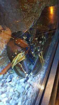 Mar - Mariscaria Peixaria