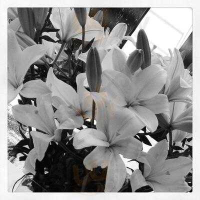 Cafetaria Do Museu De S. Roque