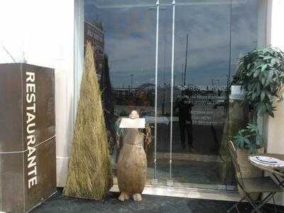 Conceição Vasco Costa