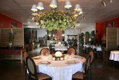 Conceição Vasco Costa