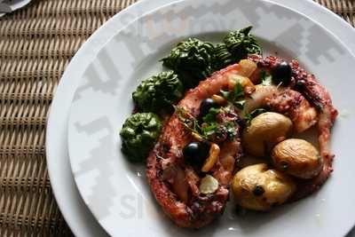 Conceição Vasco Costa