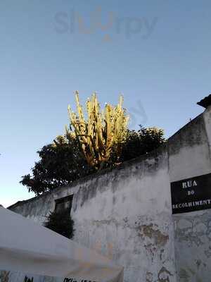 Especialides Do Recolhimento