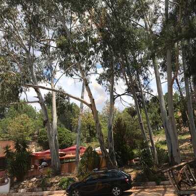 Restaurante O Cacador