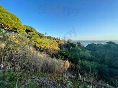 Cafeteria By Alfagar