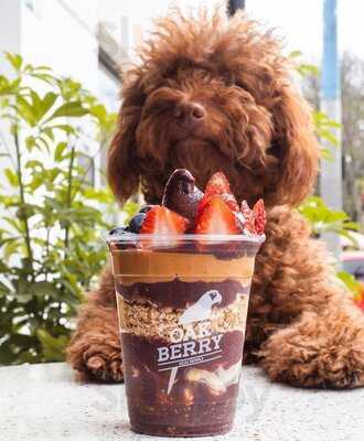 Oakberry Açaí - Lx Factory