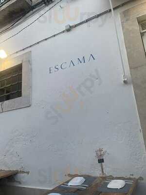 Escama - Fish Tasca