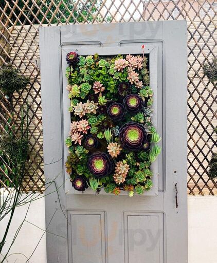 Agora É Que São Elas