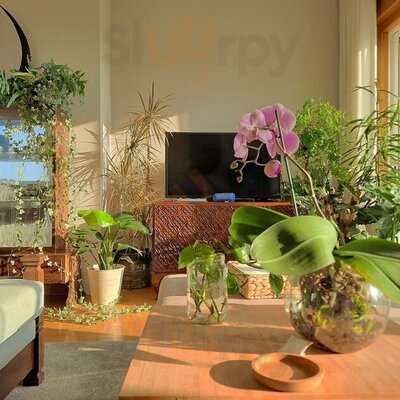 Eatwith: João Of Porto