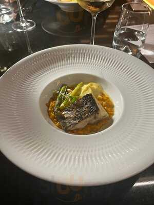 Barrica By Yoursporto