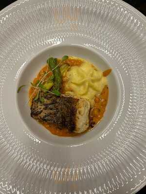 Barrica By Yoursporto