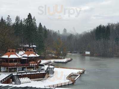 Ciuperca Mica Kicsi Gomba