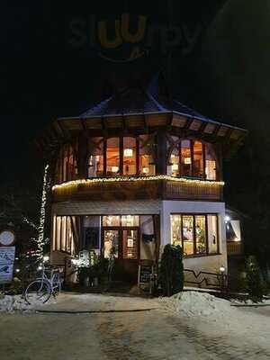 Ciuperca Mica Kicsi Gomba