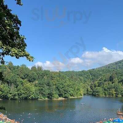 Ciuperca Mica Kicsi Gomba