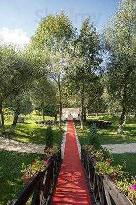 Restaurant Dambu Morii