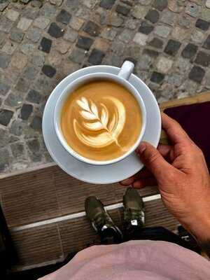 Habitat Concept Room