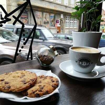 Habitat Concept Room