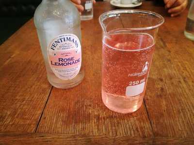 Viva La Vida Bistro - Hostel