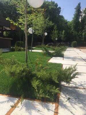 Piscina & Gradina Floreasca