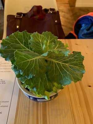 Blid - Locanta Romaneasca