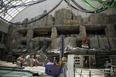 Hot Food & Bar Studio