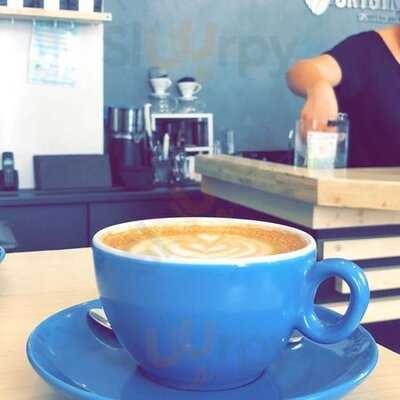 Orygyns Specialty Coffee