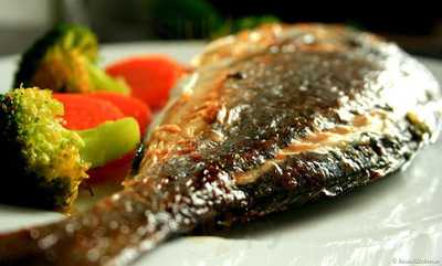 Terasa Privighetorilor 2.0