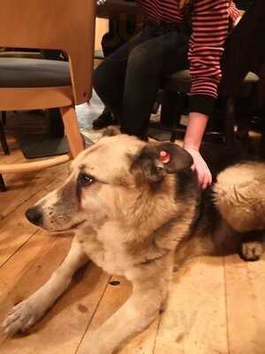 Legere Cafe Bar Bistro