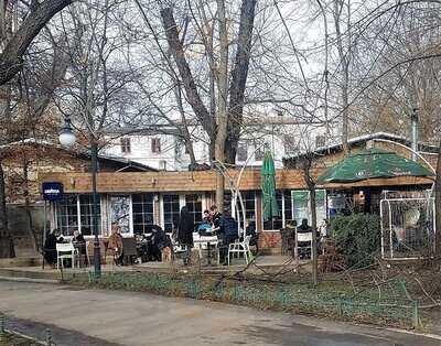 La Biblioteca Cismigiu