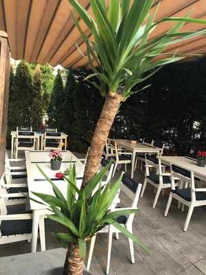 Aubergine Cantacuzino