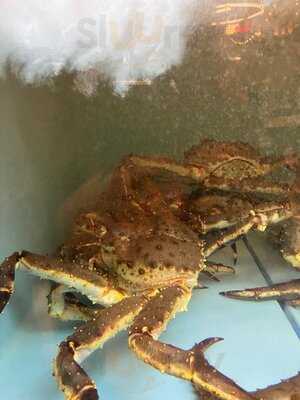 Taverna Racilor Timisoara