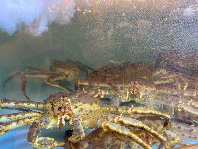 Taverna Racilor Timisoara