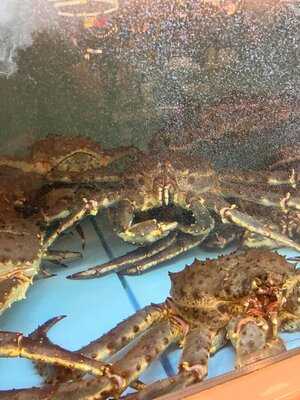 Taverna Racilor Timisoara