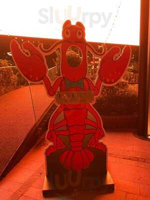 Taverna Racilor Timisoara