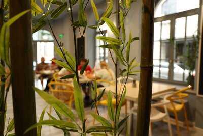 Gourmet, The Food Corner